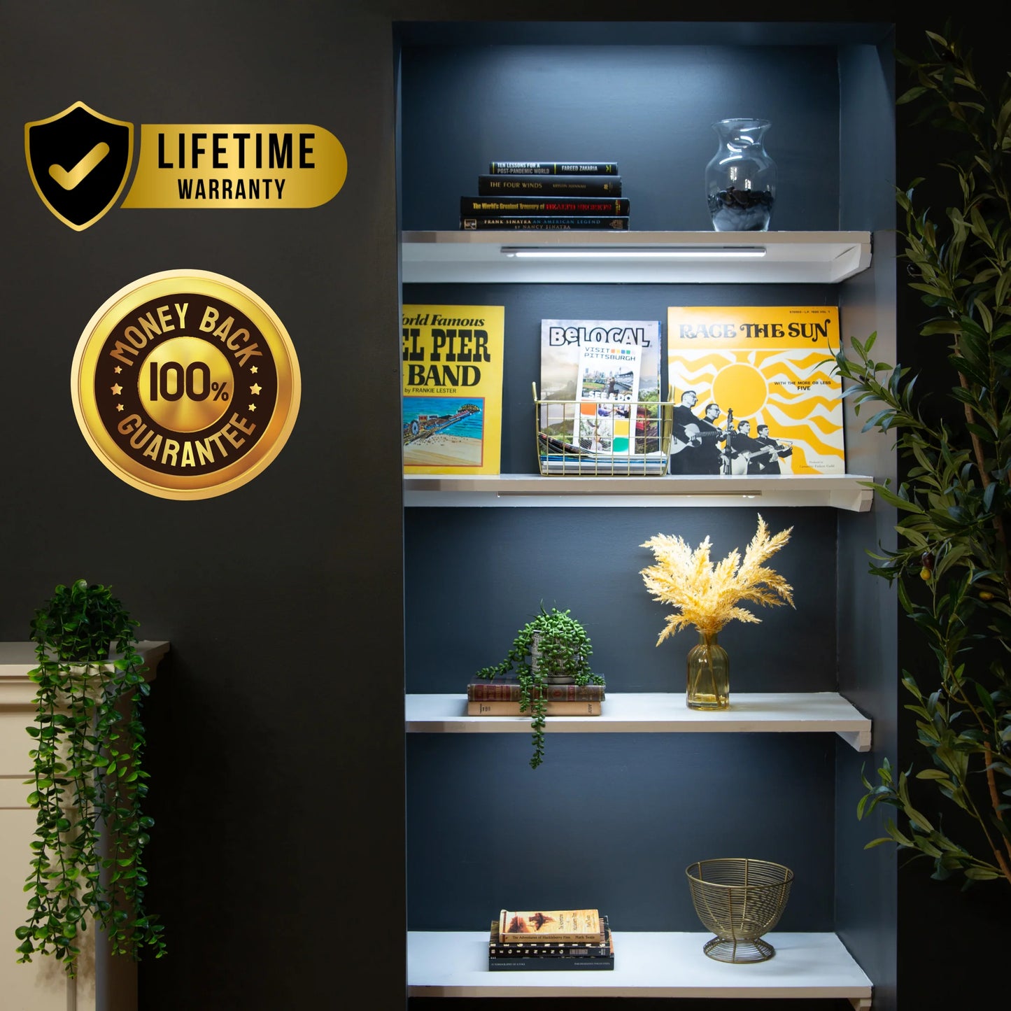 Bradley Luminous Pro